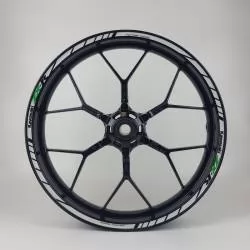 Kawasaki Ninja light reflective rim stripes set