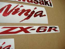 Kawasaki ZX6R Ninja custom chrome red graphics