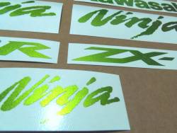 Kawasaki ZX10R metallic green customized logo decals