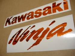 Kawasaki ZX6R Ninja chrome orange logo graphics