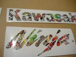 Kawasaki ZX10R 1000cc Ninja multicolor decals