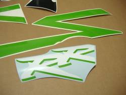 Honda CBR 954RR Fireblade sc50 custom poison green decals