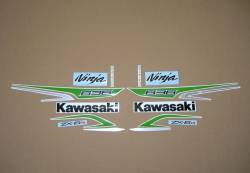 Kawasaki ZX6R 636 ninja 2013 green full decals kit