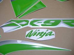 Kawasaki ZX9R ninja 2002-2003 custom adhesives set