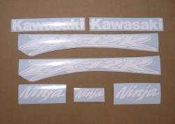 Details about   2x 600cc Stickers Most Colours 2x Sheet Sticker 175mmx49mm Yamaha Kawasaki Honda 