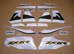 Kawasaki 636 ninja ZX6R 2002 green version decals kit