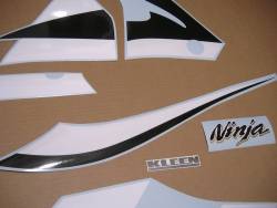 Kawasaki 636 ninja ZX6R 2002 green replacement stickers