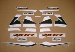 Kawasaki 636 ninja ZX6R 2002 grey reproduction decal set