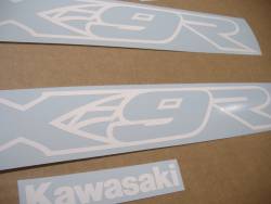 Kawasaki ZX9R 900 white pattern graphics set