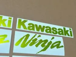 Metallic green stickers for Kawasaki Ninja 500 ZX
