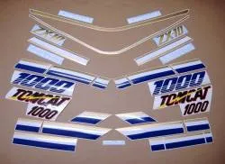 Kawasaki ZX10 Tomcat 1989 replacement decal set