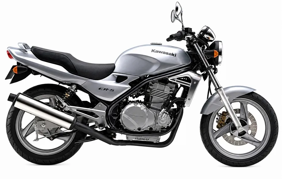Kawasaki ER-5 1996 OEM pattern decals set