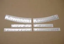 Kawasaki ER-5 1998 complete replica decals set
