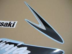 Kawasaki ZX 10R 2007 Ninja green logo graphics