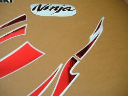 Kawasaki 250 R 2007 silver labels graphics