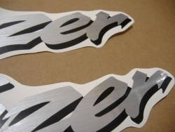 Yamaha FZS 600 1999 5DM4 silver stickers set