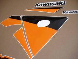 Kawasaki ZX9R 2003 silver adhesives set