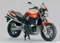 Hornet 900 - Moto-Sticker.com