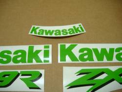 Kawasaki ZX-9R 2004 Ninja custom stickers
