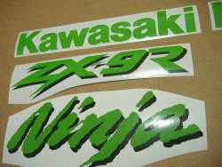 Kawasaki ZX9R 2000 custom adhesives set