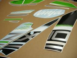 Kawasaki zx10r ninja 2016 green decals 