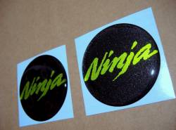 Kawasaki Ninja 3D silicone decals